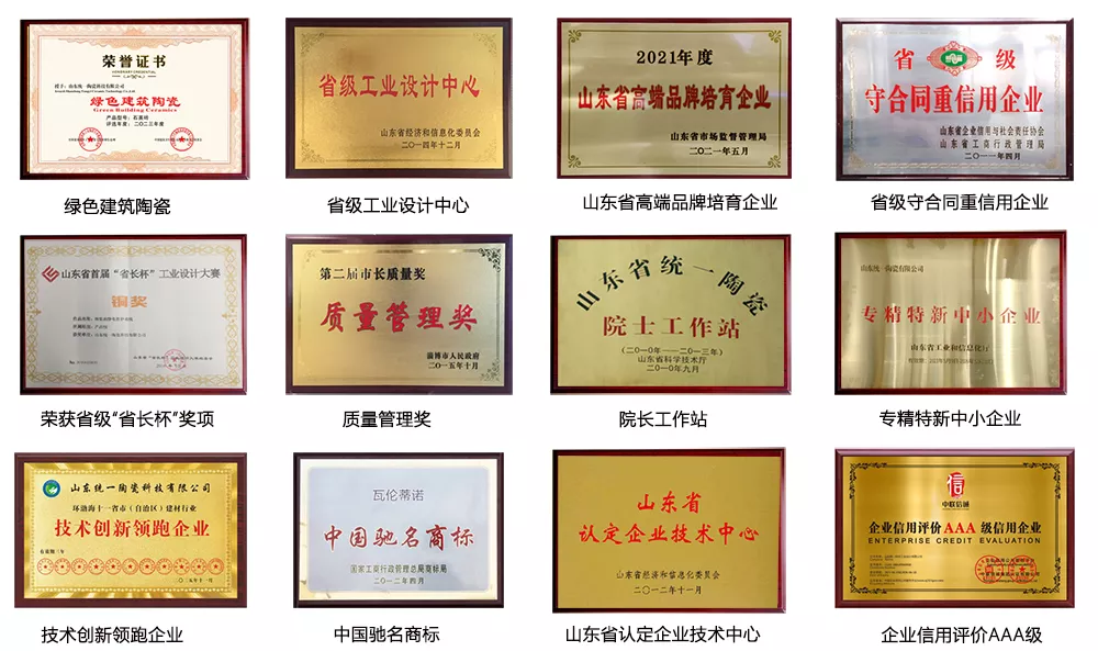 统一科技荣誉奖牌展示图
